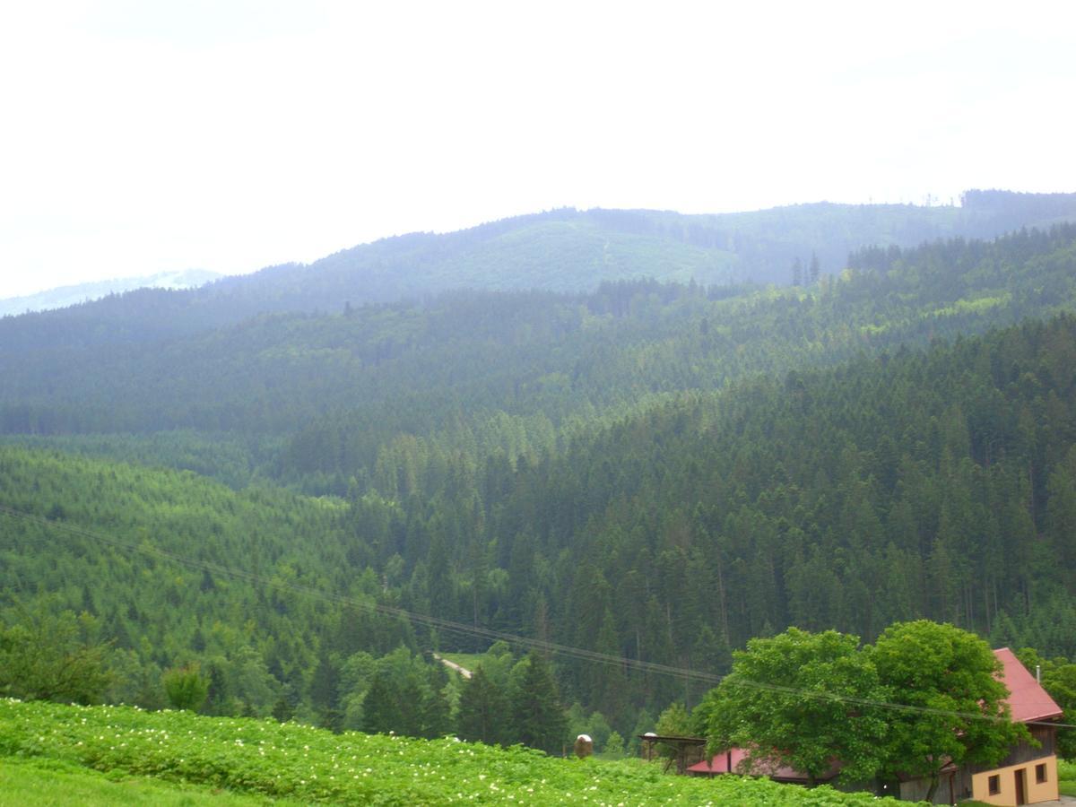 Domek U Malysza Істебна Екстер'єр фото